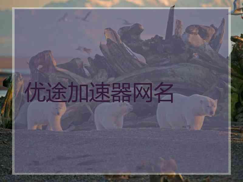 优途加速器网名