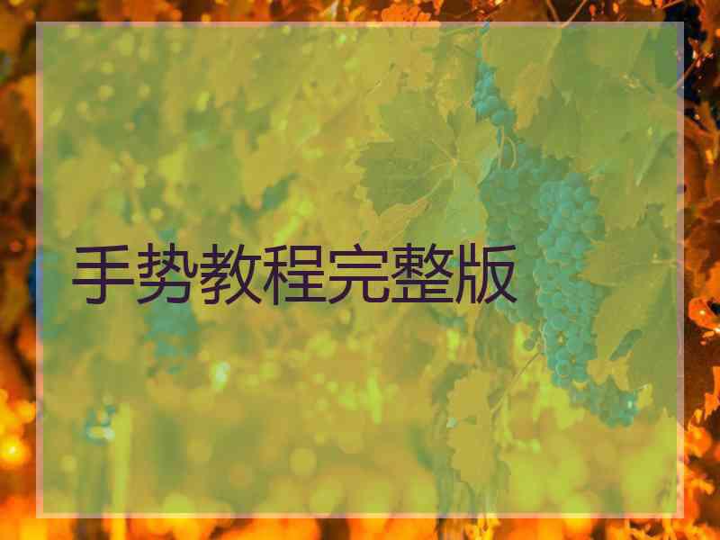 手势教程完整版