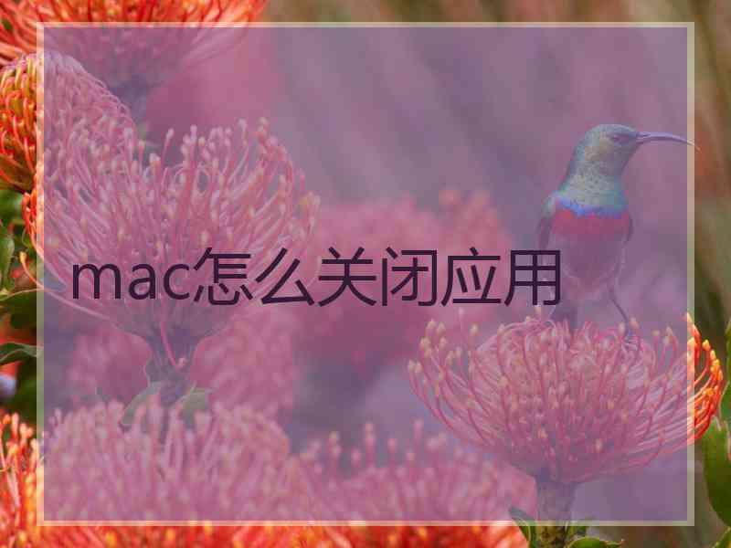 mac怎么关闭应用