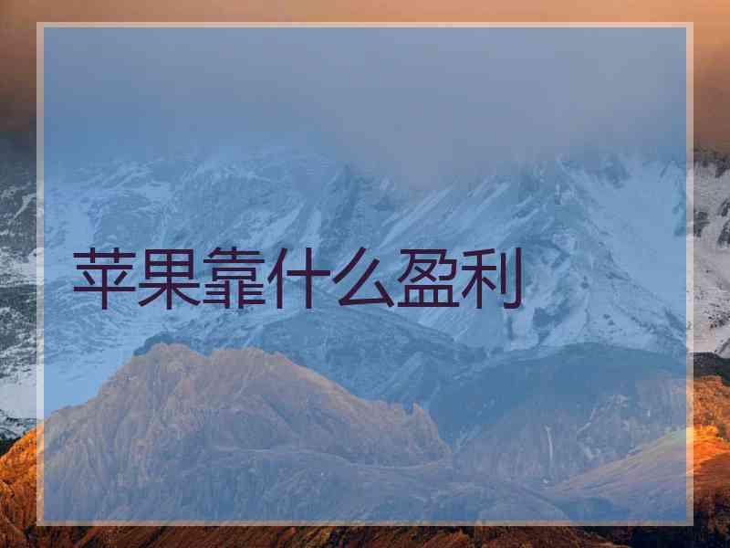 苹果靠什么盈利