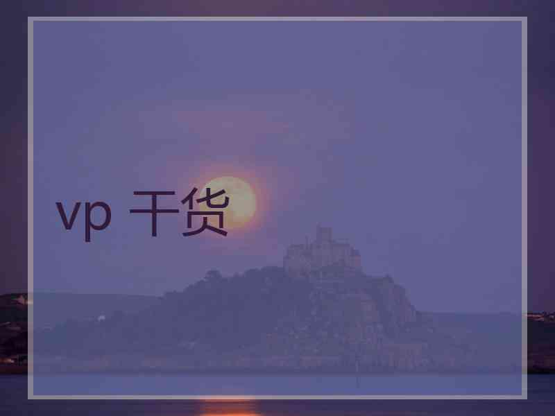 vp 干货