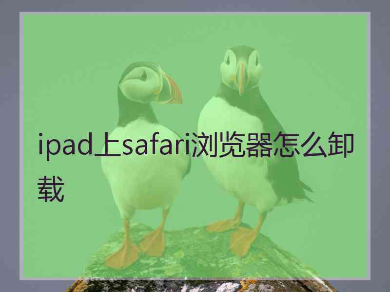 ipad上safari浏览器怎么卸载