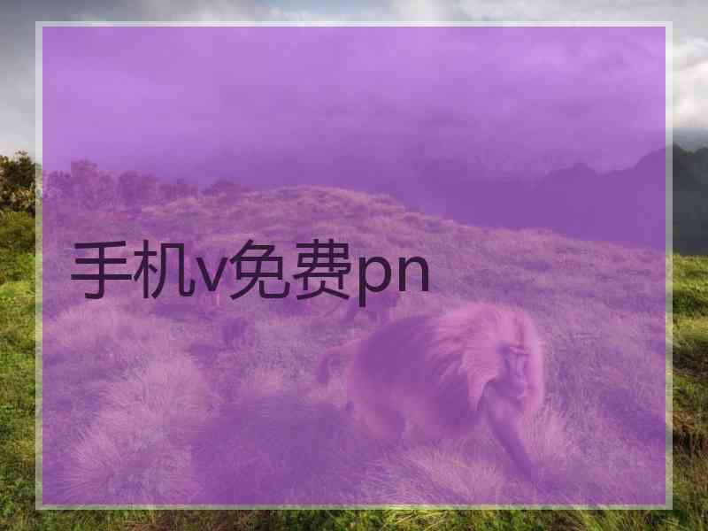 手机v免费pn