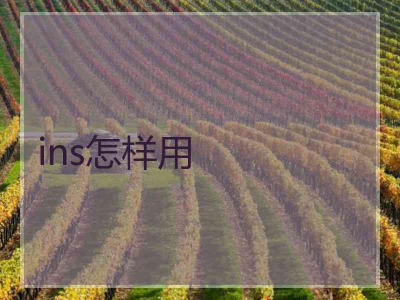 ins怎样用