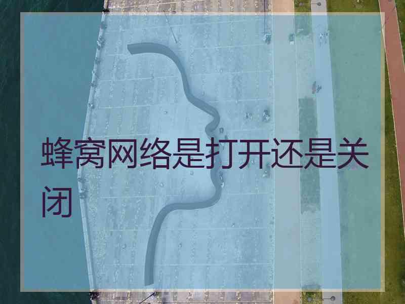 蜂窝网络是打开还是关闭