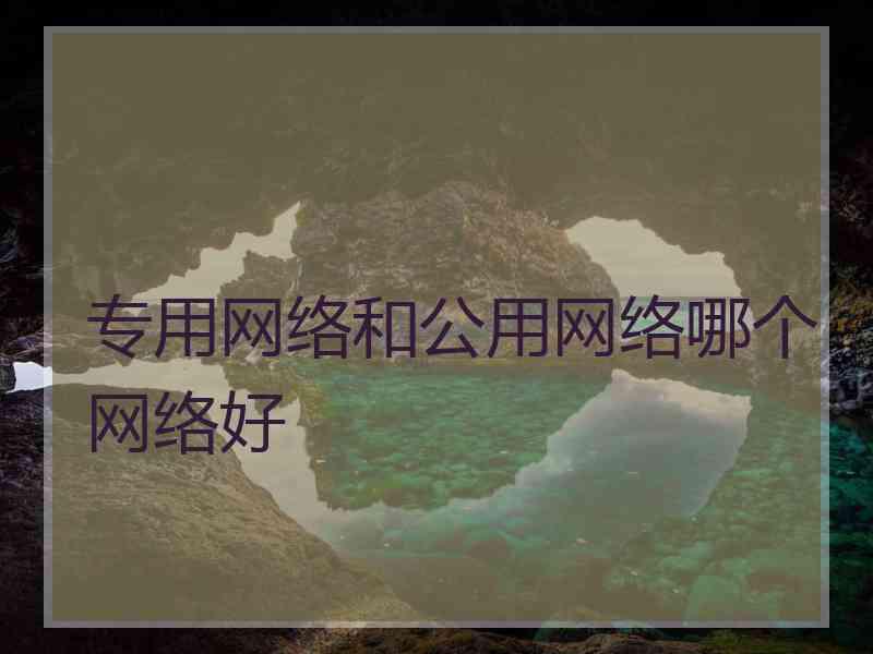 专用网络和公用网络哪个网络好