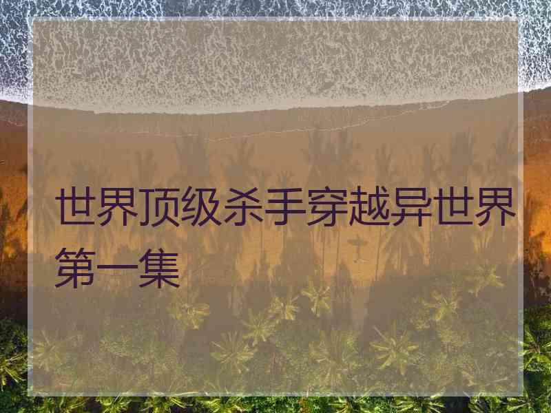 世界顶级杀手穿越异世界第一集