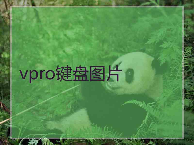vpro键盘图片