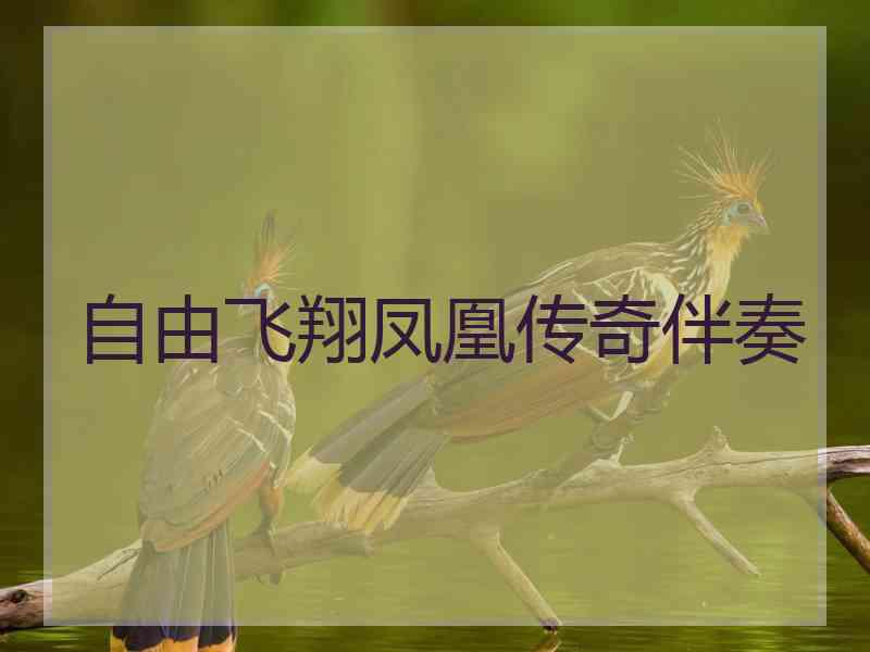 自由飞翔凤凰传奇伴奏