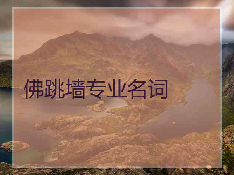 佛跳墙专业名词