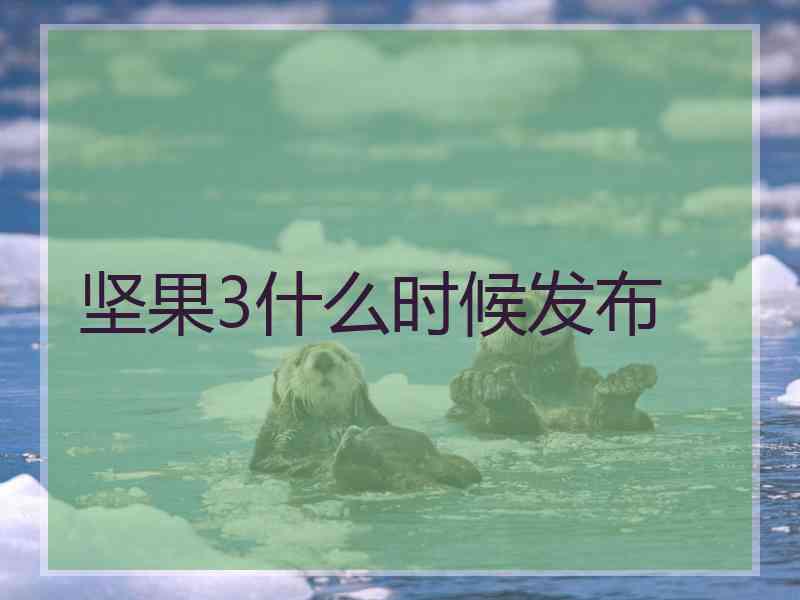 坚果3什么时候发布