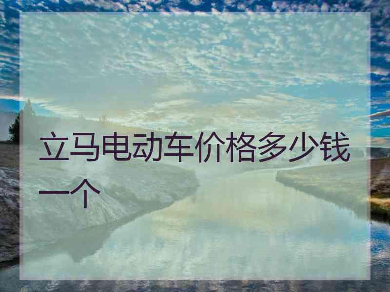 立马电动车价格多少钱一个