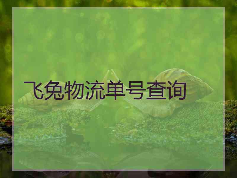 飞兔物流单号查询