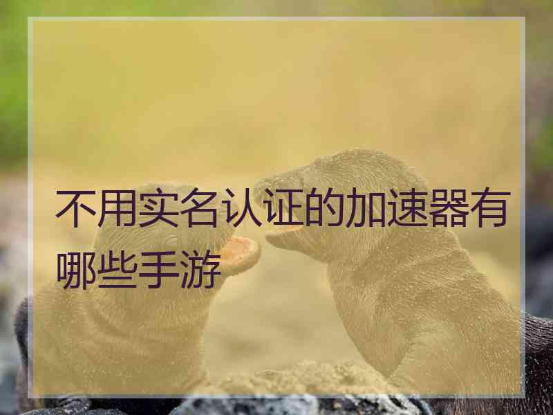 不用实名认证的加速器有哪些手游