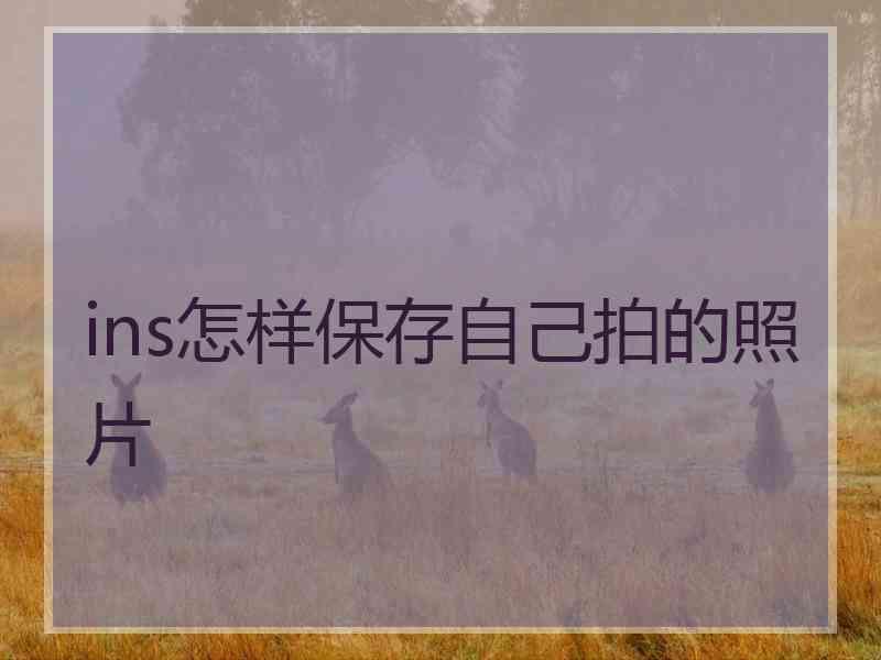 ins怎样保存自己拍的照片
