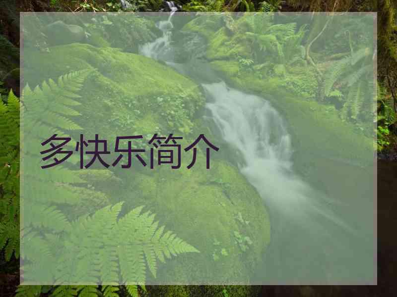多快乐简介