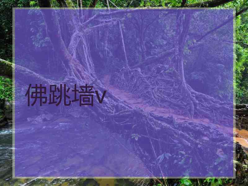 佛跳墙v