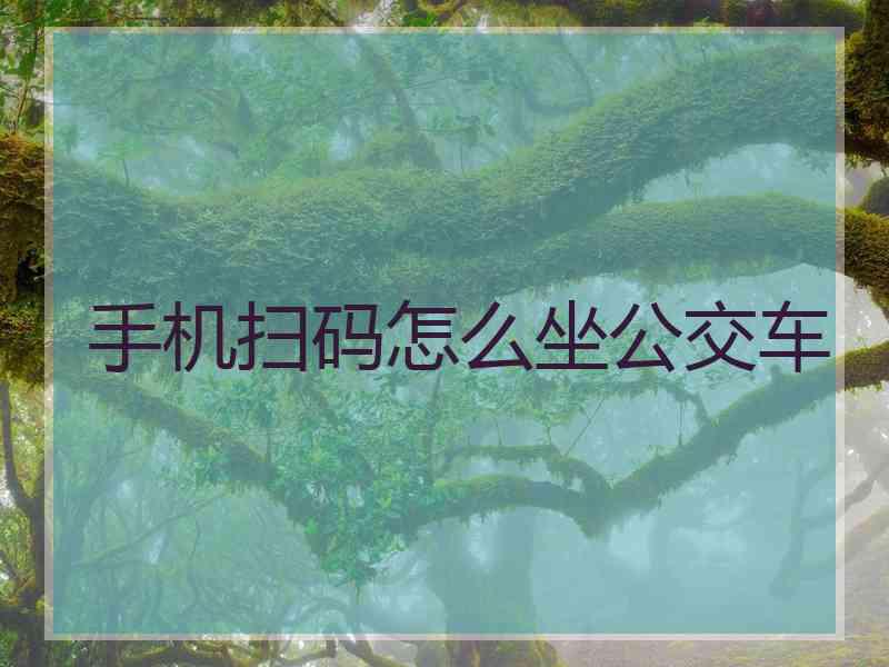 手机扫码怎么坐公交车
