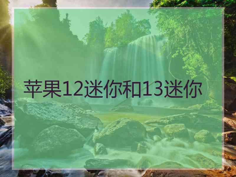 苹果12迷你和13迷你