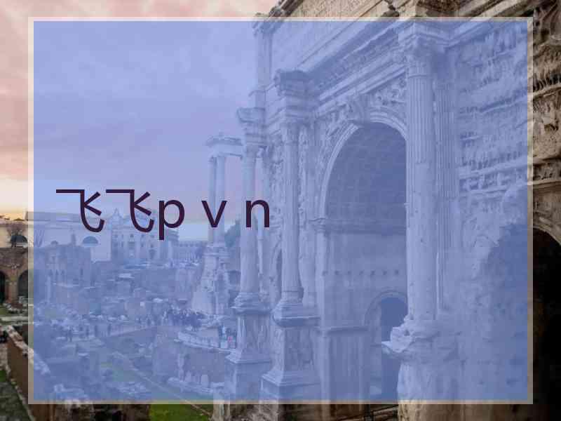 飞飞p v n