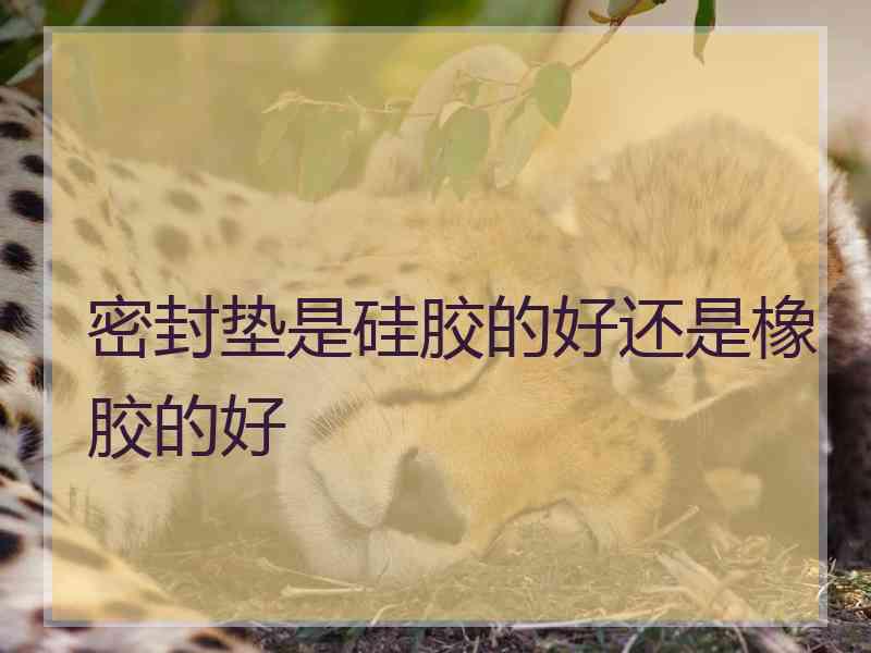 密封垫是硅胶的好还是橡胶的好