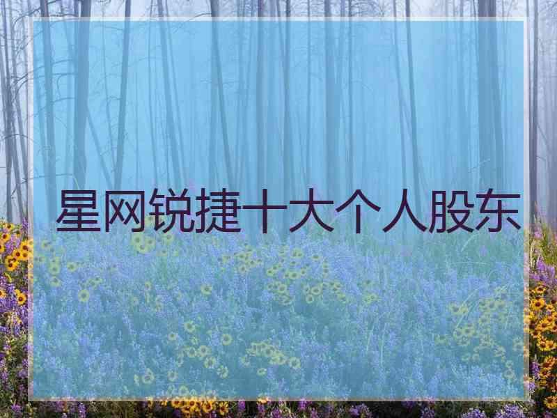 星网锐捷十大个人股东