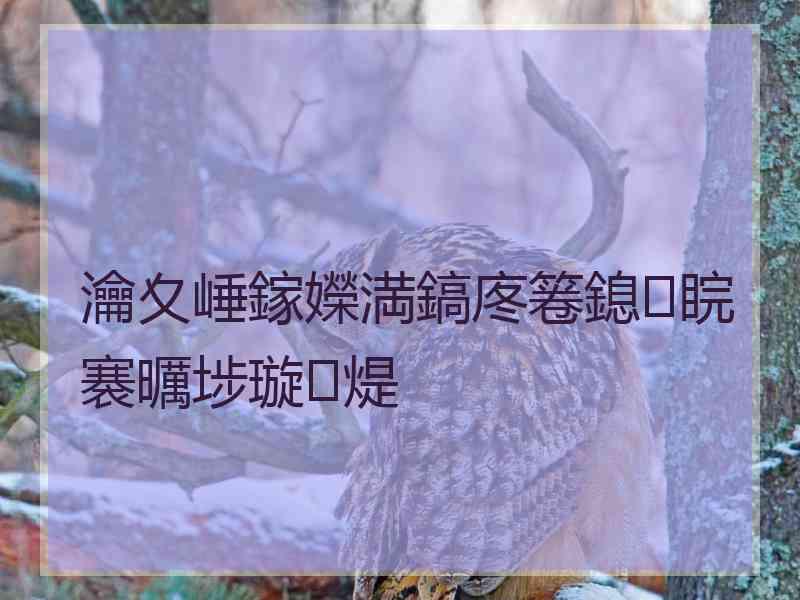 瀹夊崜鎵嬫満鎬庝箞鎴睆褰曞埗璇煶