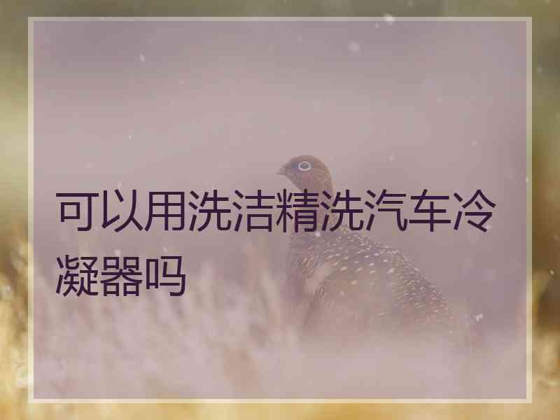 可以用洗洁精洗汽车冷凝器吗