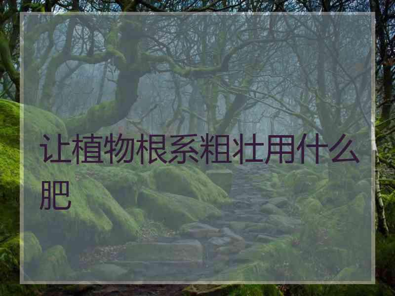 让植物根系粗壮用什么肥