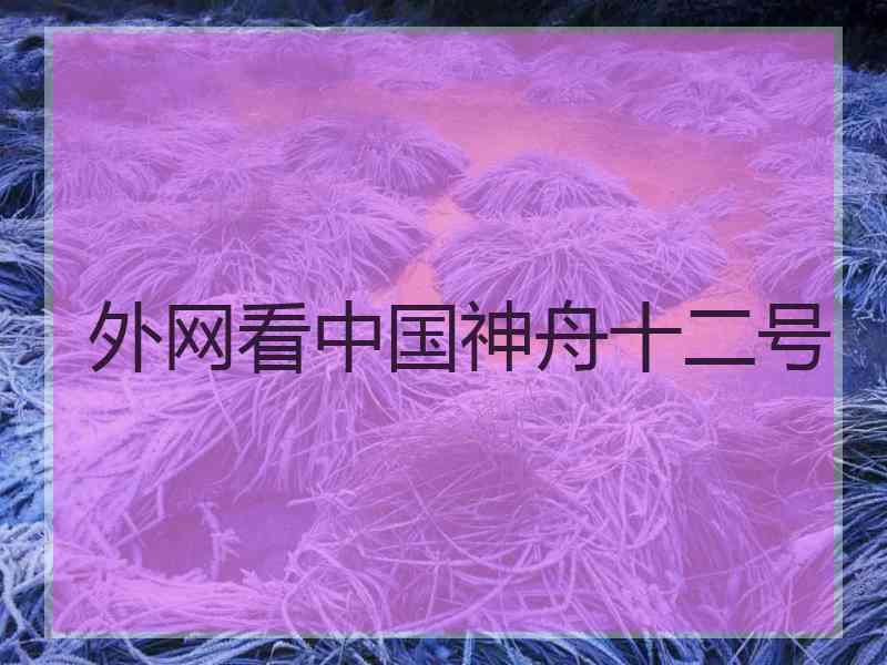 外网看中国神舟十二号