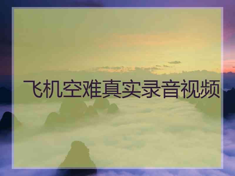 飞机空难真实录音视频
