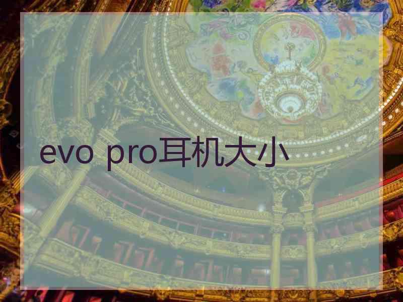 evo pro耳机大小