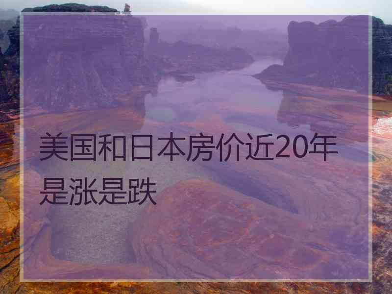 美国和日本房价近20年是涨是跌