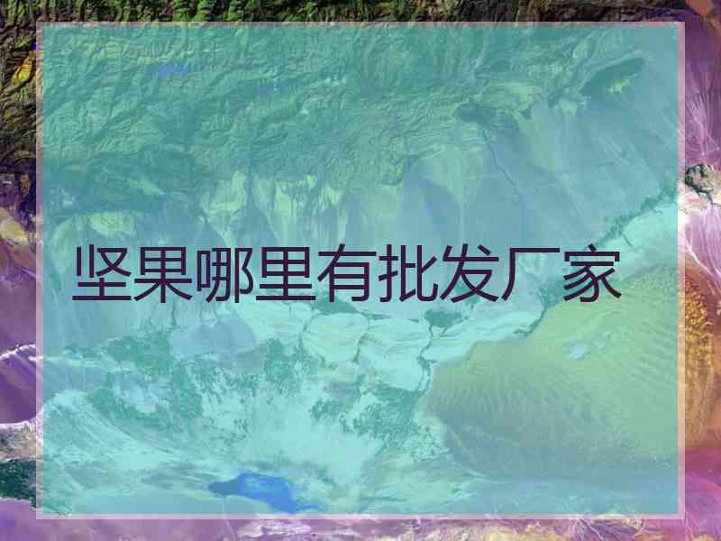 坚果哪里有批发厂家