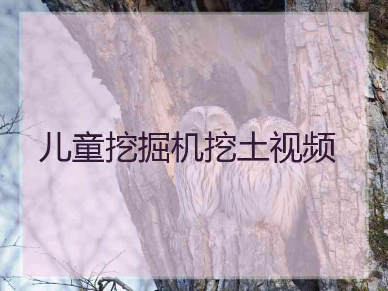 儿童挖掘机挖土视频