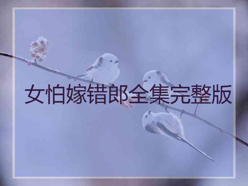女怕嫁错郎全集完整版