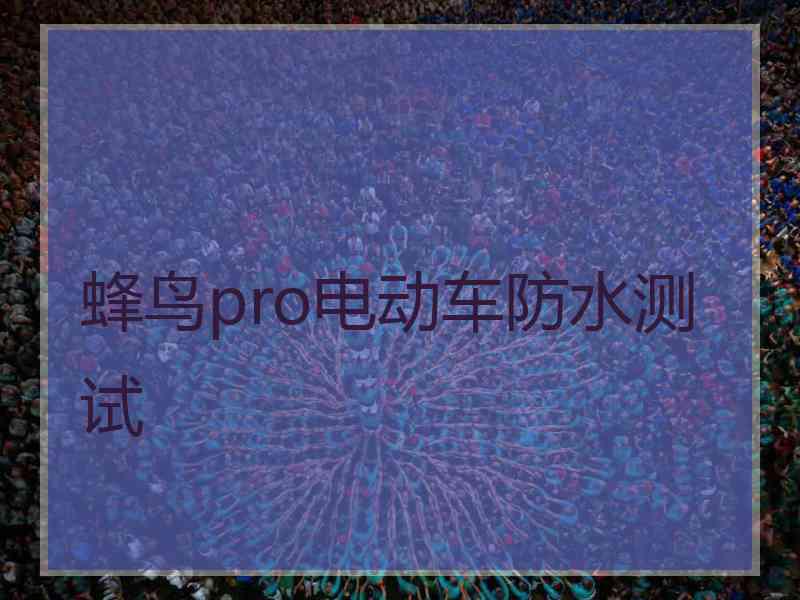 蜂鸟pro电动车防水测试