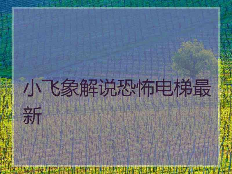 小飞象解说恐怖电梯最新