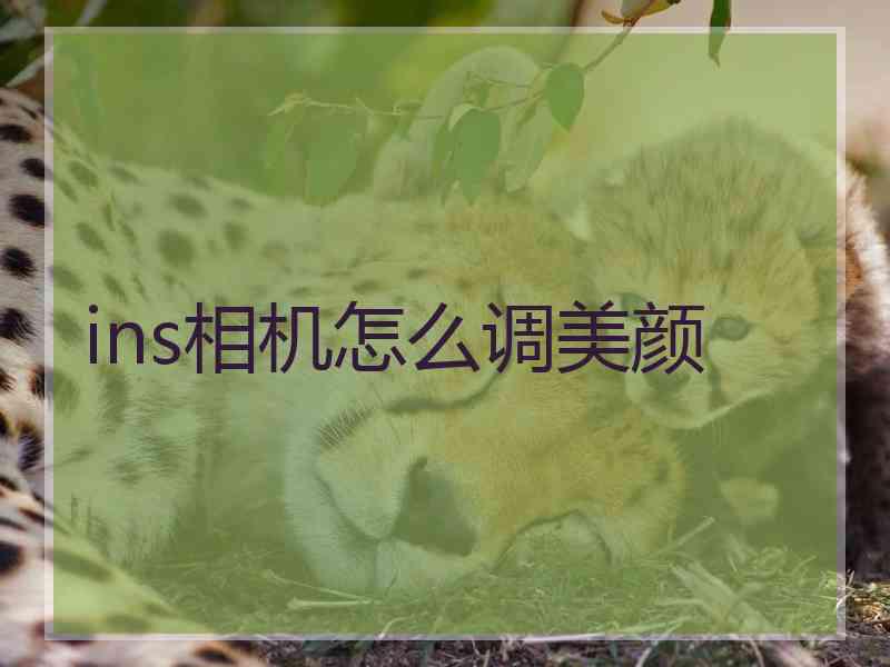 ins相机怎么调美颜