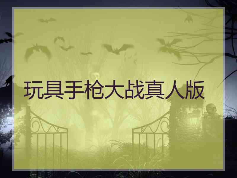 玩具手枪大战真人版