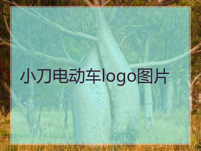 小刀电动车logo图片