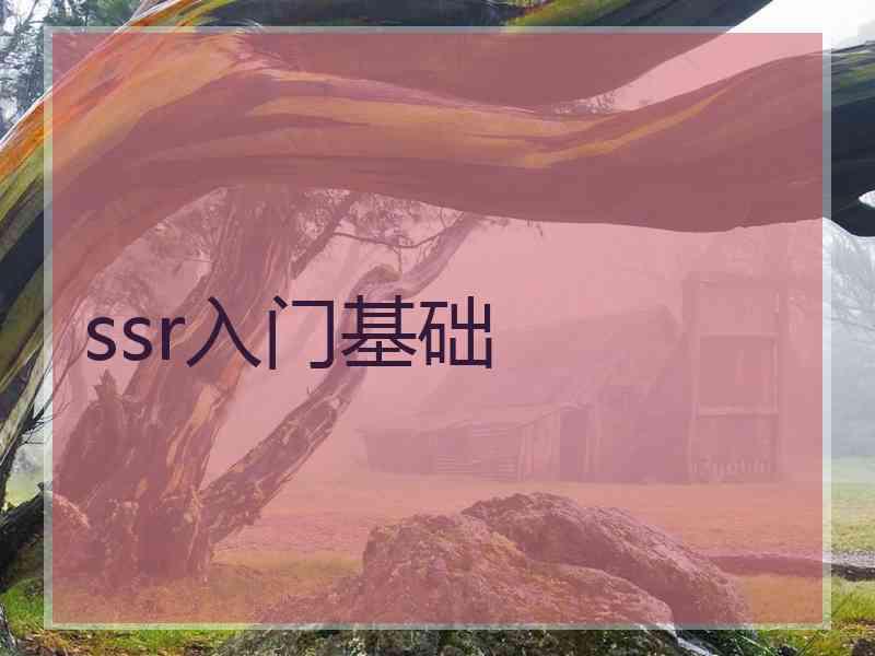 ssr入门基础