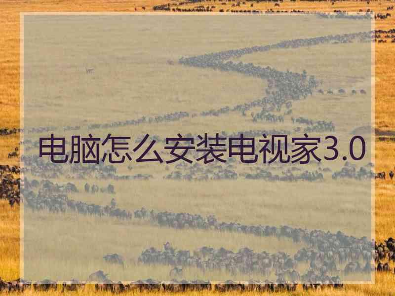 电脑怎么安装电视家3.0