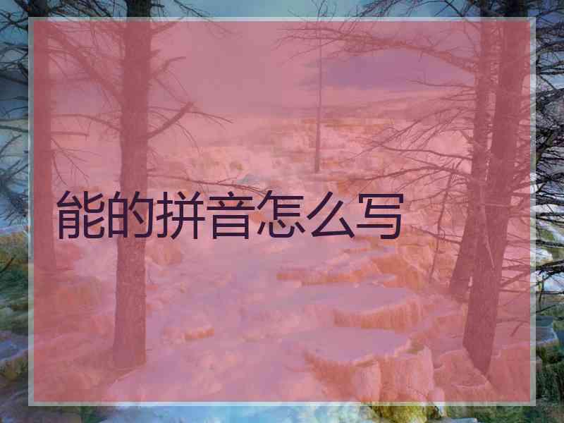 能的拼音怎么写