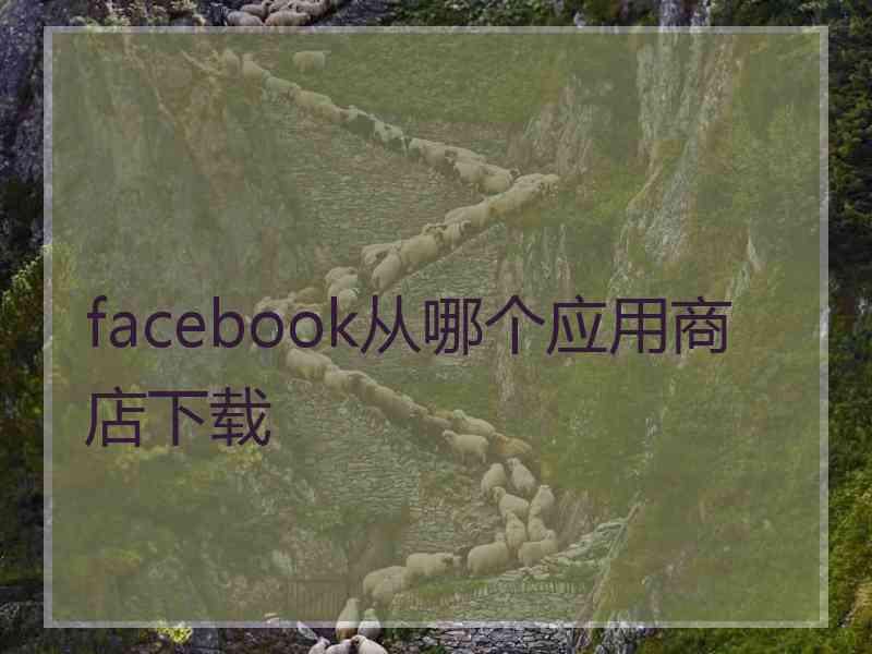 facebook从哪个应用商店下载