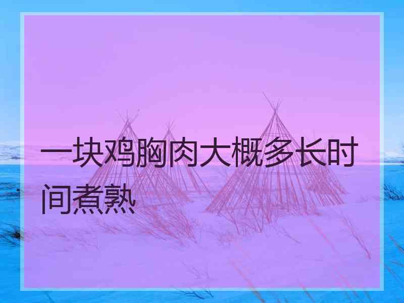 一块鸡胸肉大概多长时间煮熟