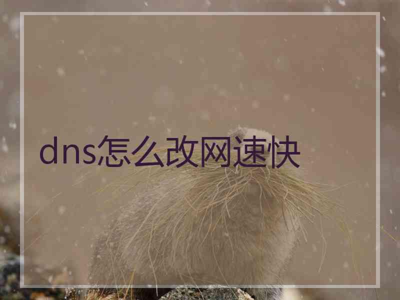 dns怎么改网速快