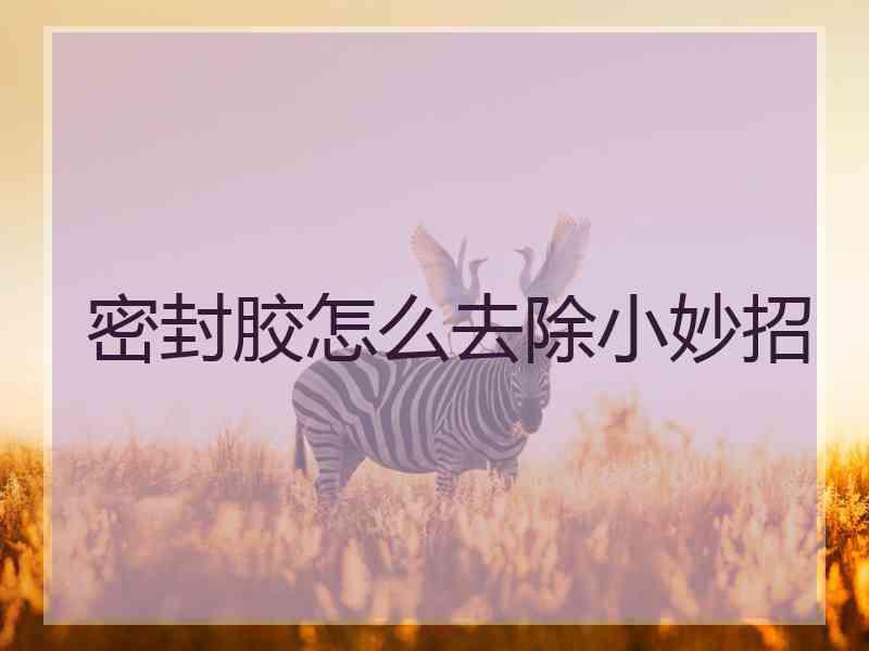密封胶怎么去除小妙招