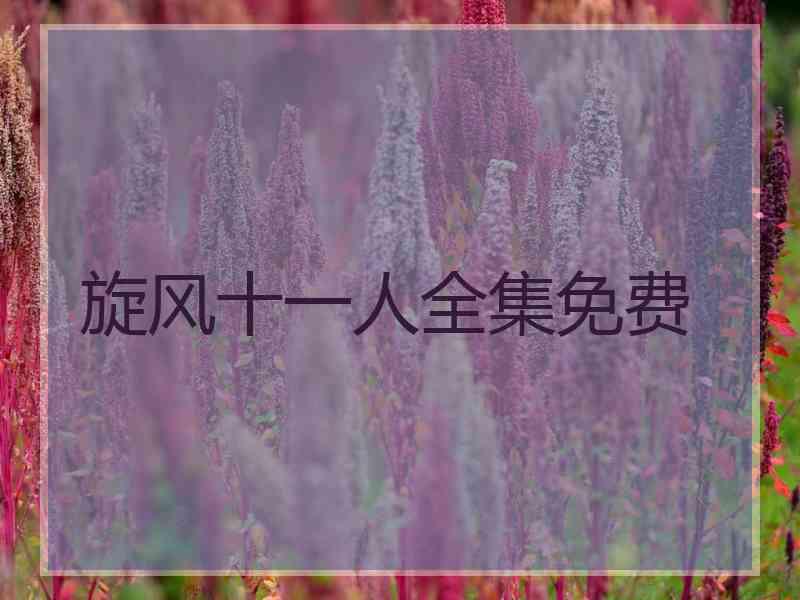 旋风十一人全集免费