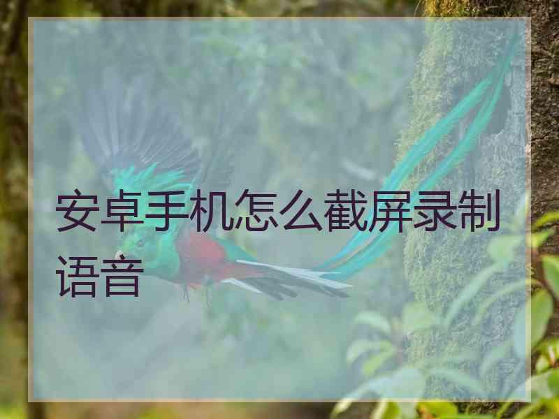 安卓手机怎么截屏录制语音